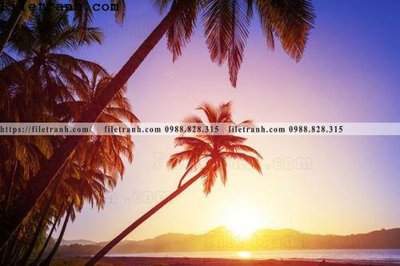 File gốc canh hoang hon tren bien 104 (phong cách) tối giản