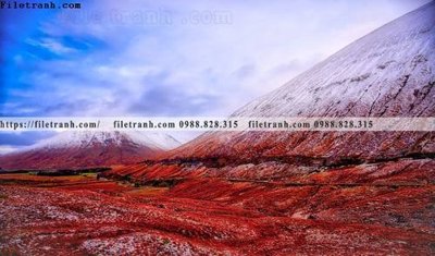 File gốc canh tuyet tren dinh nui 527 (phiên bản chuẩn) để in ấn