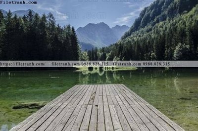 File gốc canh tuyet tren dinh nui 549 (in tráng gương) nghệ thuật