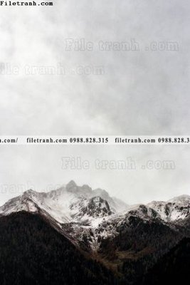 File in trần canh tuyet tren dinh nui 563 (bản gốc 3D) sống động