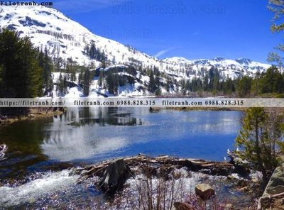 File ảnh gốc canh tuyet tren dinh nui 569 không vỡ nét