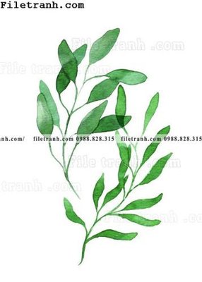 Cung cấp file tranh gốc cay xanh tuoi nho 165 độc quyền