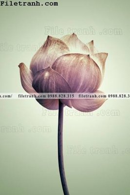 File tranh cay xanh tuoi nho 173 (ảnh gốc) cho in ấn kỹ thuật số