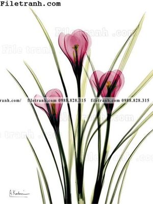 File PSD cay xanh tuoi nho 176 (gốc) tách lớp chi tiết