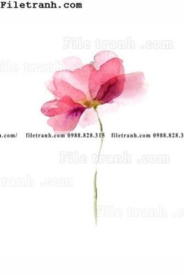 Tải về hình ảnh gốc cay xanh tuoi nho 177 sắc nét