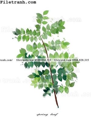 Ảnh gốc cay xanh tuoi nho 180 (độ nét cao) in mica