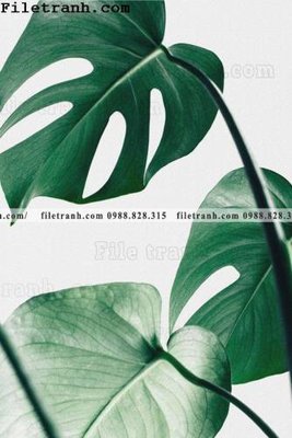 File in trần cay xanh tuoi nho 200 (bản gốc) phong cảnh