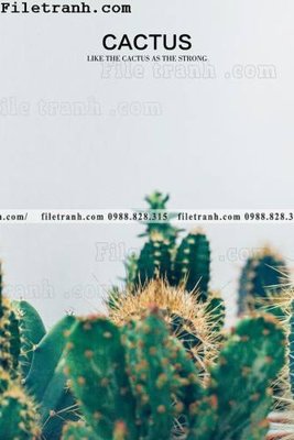 Download file cay xanh tuoi nho 213 (gốc) in mica ốp bếp