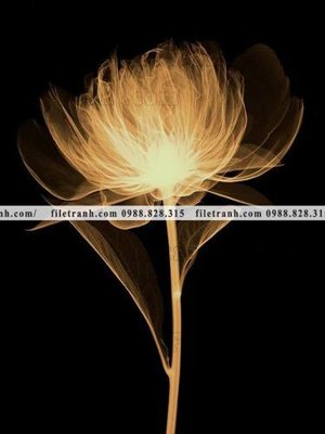 File tranh decor tranh bo tong hop 110 (gốc) in film