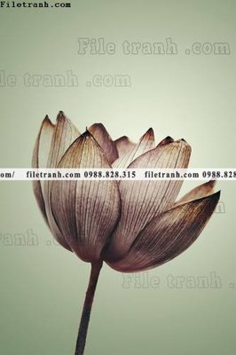 Hình ảnh file gốc decor tranh bo tong hop 128 cho in UV