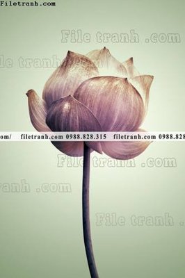 File gốc decor tranh bo tong hop 130 (trang trí) cho phòng khách