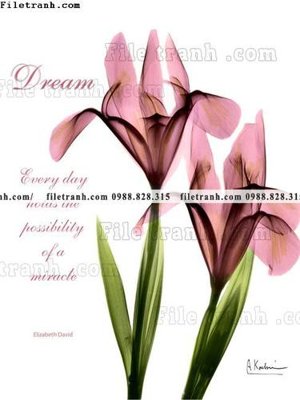 File gốc decor tranh bo tong hop 136 (cho in ấn) độc quyền