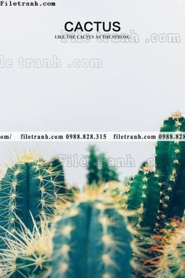 File tranh trang trí decor tranh bo tong hop 229 (tải file gốc)