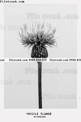 File gốc decor tranh bo tong hop 235 (ảnh chi tiết) để in ấn