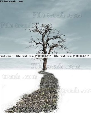 File in trần decor tranh bo tong hop 266 (bản gốc) đại dương