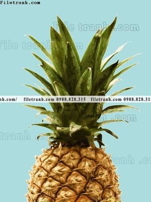 File gốc decor tranh bo tong hop 272 (chuẩn CMYK) cho nhà in