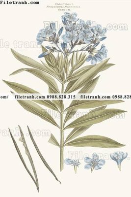 Hình ảnh file gốc decor tranh bo tong hop 344 cho in UV