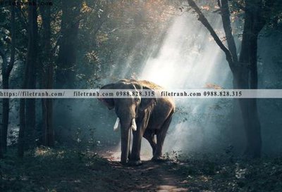 File gốc dong vat thien nhien su tu 516 (ảnh chi tiết) để in ấn