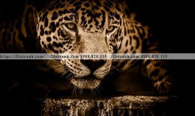 File gốc dong vat thien nhien su tu 525 (phong cách) châu Âu