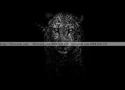 File PSD dong vat thien nhien su tu 535 (bản gốc) chất lượng nhất