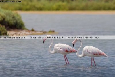 File gốc dong vat thien nhien su tu 578 (phong cách) cổ điển