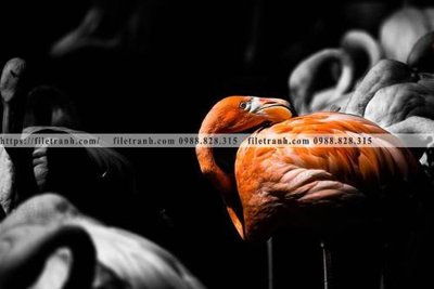 Download file dong vat thien nhien su tu 579 (gốc) in mica bàn thờ