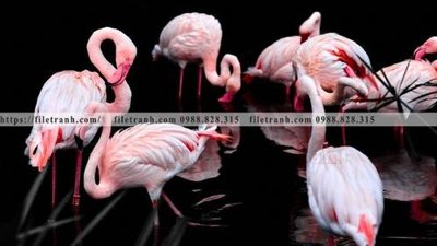 File gốc dong vat thien nhien su tu 582 (phong cách) châu Âu