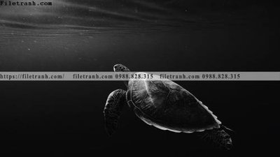 Hình ảnh file gốc in lụa dong vat thien nhien su tu 601