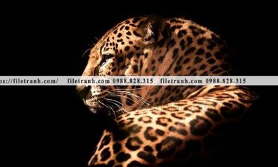 Tải file hinh anh chup anh con bao 610 (ảnh gốc) in tráng gương