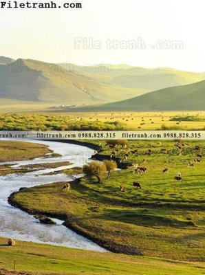 File gốc hinh anh chup anh dong co 100 (ảnh chi tiết) để in trần