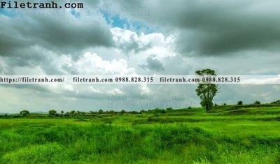 File tranh hinh anh chup anh dong co 105 (gốc) chủ đề con người