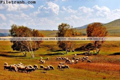 File ảnh hinh anh chup anh dong co 106 (gốc) dùng in Pano