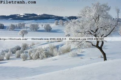 Tải file hinh anh chup anh dong co 118 (gốc) chủ đề phong thủy