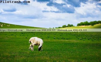 File gốc hinh anh chup anh dong co 122 (dành cho quảng cáo)