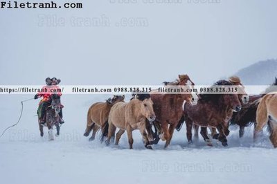 File in trần hinh anh chup anh dong co 126 (file gốc) xuyên sáng