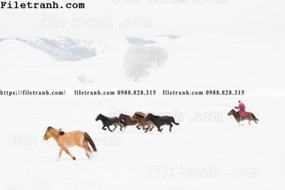 File gốc hinh anh chup anh dong co 128 (in tráng gương) sang trọng