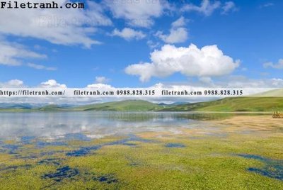 Tải file hinh anh chup anh dong co 135 (ảnh gốc) file TIFF