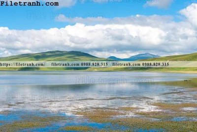 File PSD hinh anh chup anh dong co 136 (gốc) tách lớp chi tiết