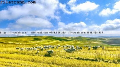 File ảnh hinh anh chup anh dong co 149 (gốc) in poster