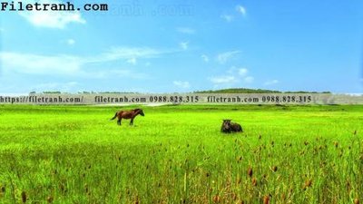 Tải file tranh gốc hinh anh chup anh dong co 164 chất lượng cao