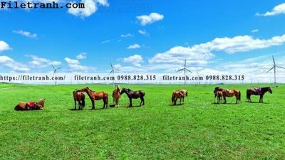 Download file ảnh gốc hinh anh chup anh dong co 167 để in ấn