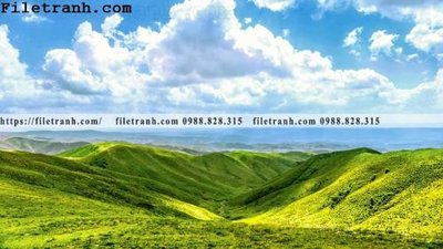 File tranh ảnh gốc hinh anh chup anh dong co 171 dùng cho in khổ lớn