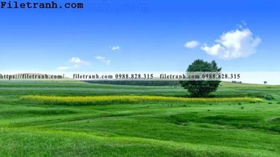 Hình ảnh file gốc hinh anh chup anh dong co 175 cho in UV