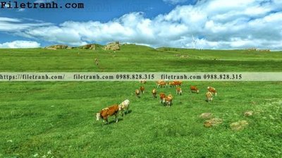 File in ấn cao cấp hinh anh chup anh dong co 190 (file gốc)