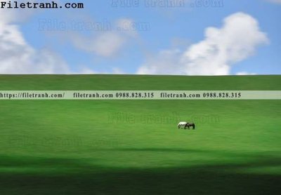 File tranh hinh anh chup anh dong co 206 (gốc) phong cách tối giản