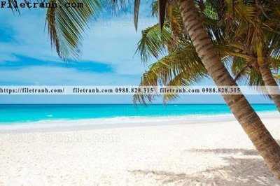 Download file hinh anh phong canh cay co cay dua ngang 105 (gốc) in mica đèn LED