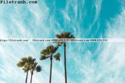 Tải file hinh anh phong canh cay co cay dua ngang 109 (gốc) in trên mọi chất liệu