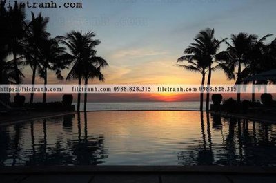 File gốc hinh anh phong canh cay co cay dua ngang 161 (AI/EPS) cho in ấn