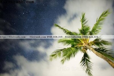 Download file gốc hinh anh phong canh cay co cay dua ngang 186 (in lụa) hoa lá