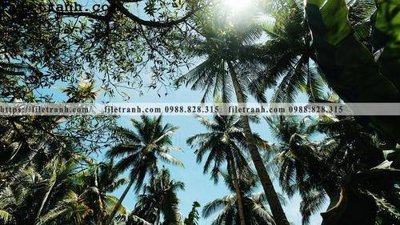 File in ấn hinh anh phong canh cay co cay dua ngang 239 (bản gốc) chất lượng cao